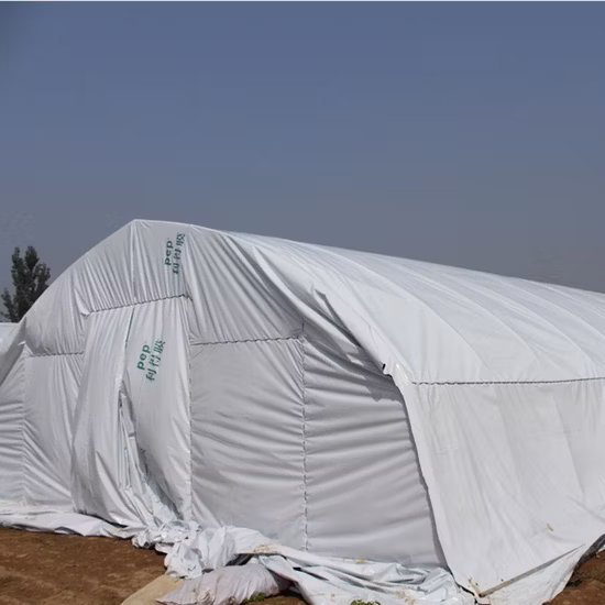 Высококачественная коммерческая теплица из полиэтиленовой пленки для фруктов